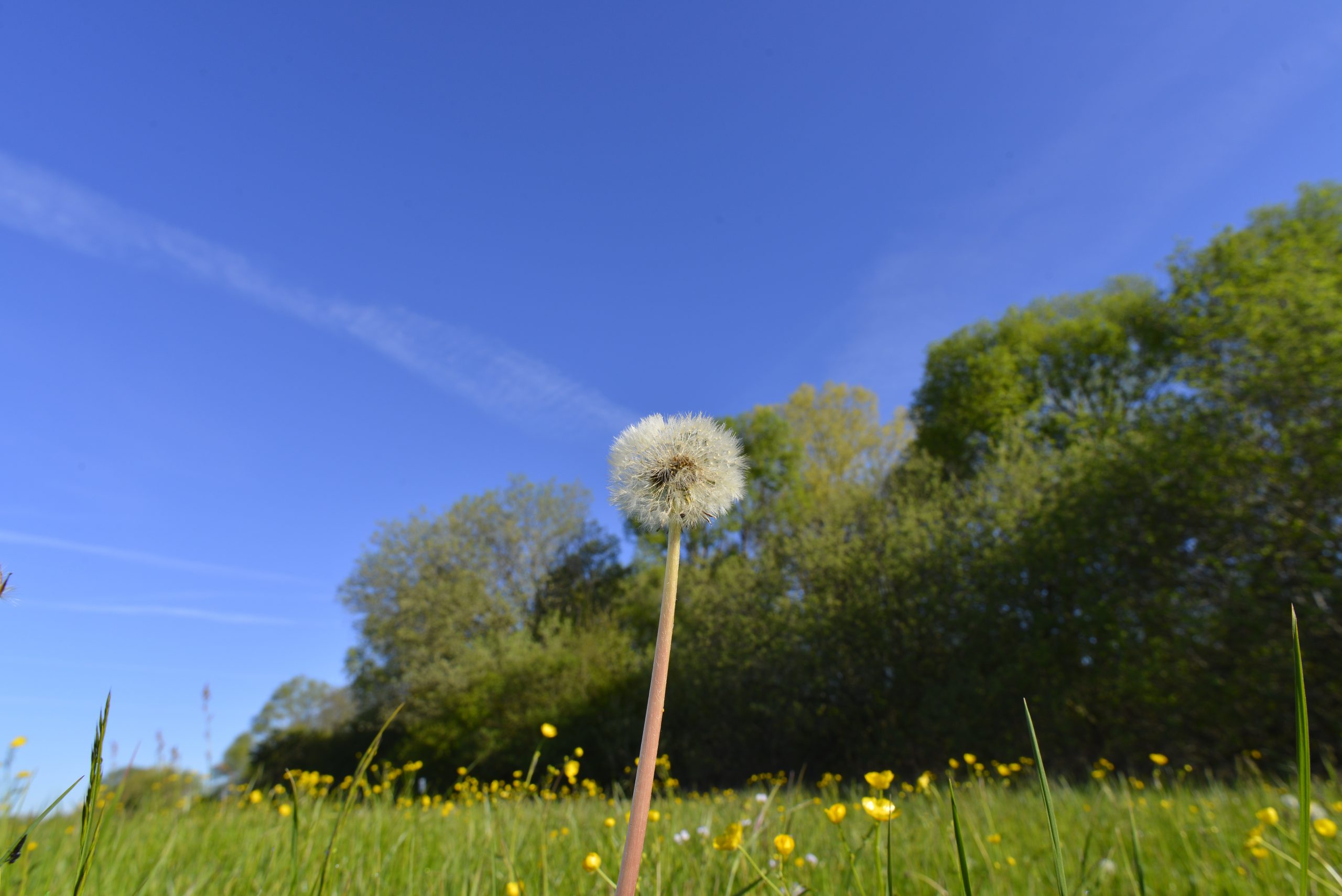 Herzlich Willkommen, welcome