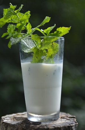 Frische Kuhmilch aus der Region